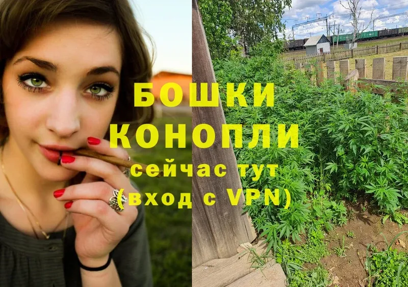 Конопля OG Kush  Покровск 